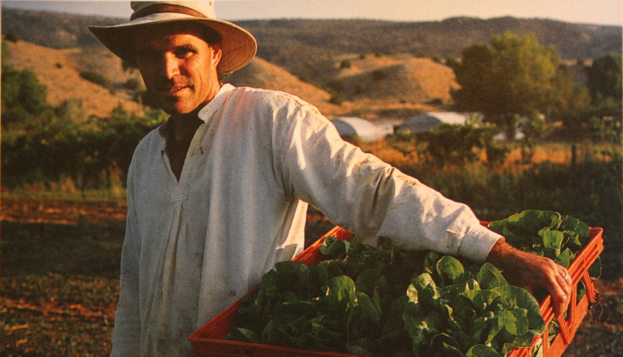 Organic farmer holding basket